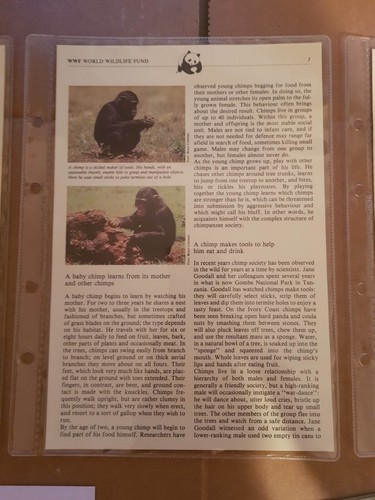 World Wildlife Fund WWF Editorial Stamps & FDC Discounts 20% 4+ items 95 listed - Picture 307 of 634