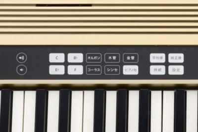 ROLAND JUSTY HK-100 Harmony & Rhythm Practice Electric