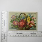 Bild 12 von 12