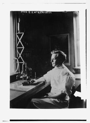 Prof. E.F. McCampbell c1900 Large Historic Old Photo