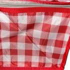 Insulated Picnic Bag Zip Red Box Beach Winter Good Delivery Camping Supermarket — photo 4