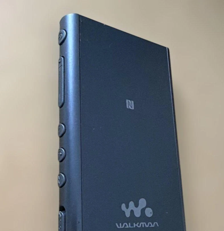Sony Walkman NW-A55 Horizon 16 Go Lecteur Audio Hi-Res Bluetooth Fonctionne