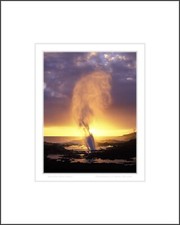 Spouting Horn, Kauai Hawaii - 16x20 Matted Print by Kenny Williams Photography