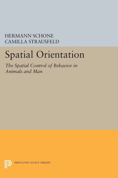 Hermann Schone | Spatial Orientation | Taschenbuch | Englisch (2014)-image