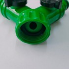 Foto 11 di 12