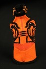 Foto 1 di 6