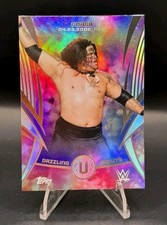 2025 Topps Universe WWE Dazzling Debuts Umaga 