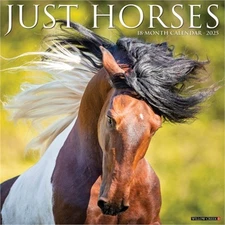 Horses 2026 12 X 12 Wall Calendar (Bookbook - Detail Unspecified)