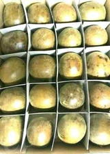 20PCS x  LUO HAN GUO MONK FRUIT SIRAITIA GROSVENORII 羅漢果