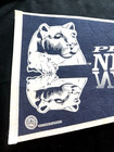 VTG. 1970's PENN STATE UNIVERSITY Felt Pennant 30" x 12" Blue/White   WE ARE !!. — photo 5