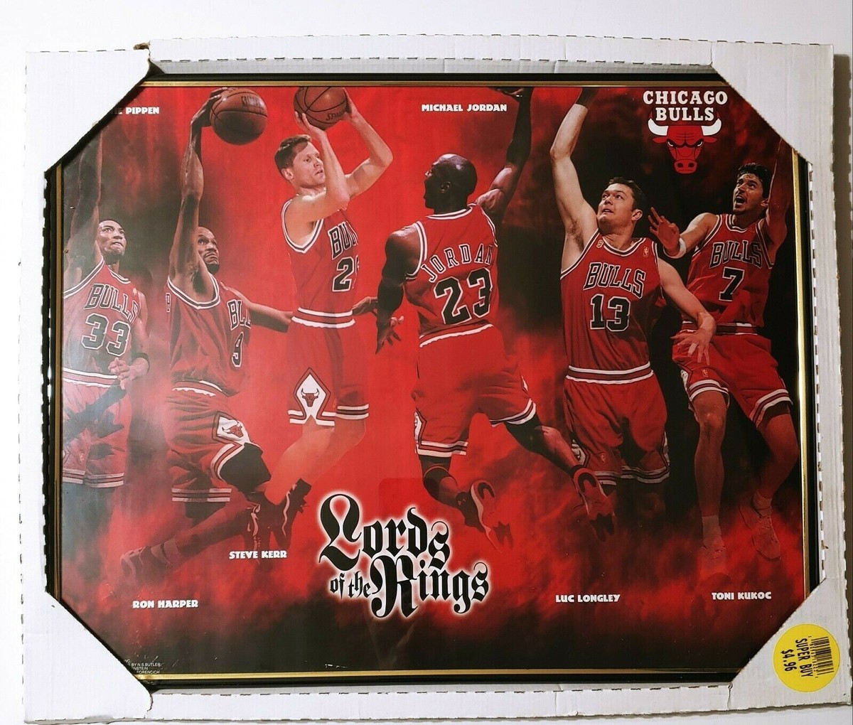 1997 Michael Jordan Chicago Bulls Lords of the Rings Framed