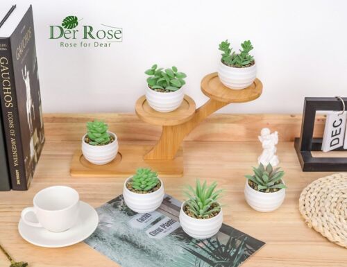 Set of 6 Succulents Plants Artificial in Pots Small Fake Plants for Bedroom - Picture 5 of 6