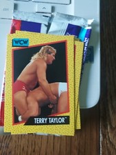 1991 WCW Wrestling Trading Card Terry Taylor #72