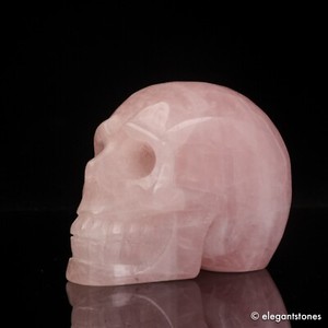 Swarovski Crystal Skull | eBay