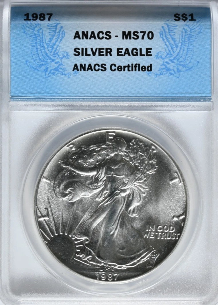 25+ American Eagle Silver Bullion Coins 1987 for sale | Updated