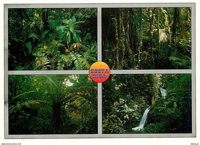 AK - Format - 160 x 115 mm - Costa Rica - Monteverde - Multivues - C
