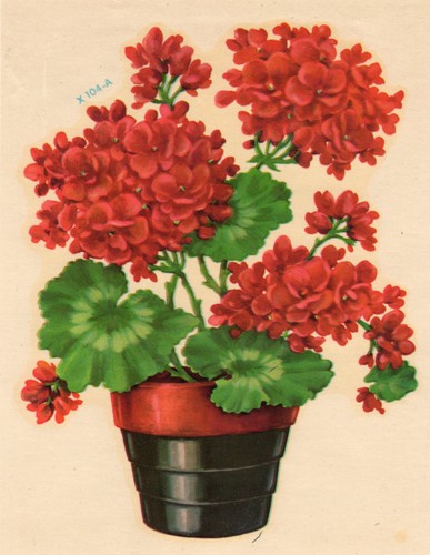 Vintage Meyercord Decal X 104-A Potted Geraniums - Picture 3 of 3