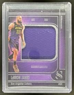 2024-25 Panini Silhouette LeBron James Silhouettes Jersey #25 Lakers