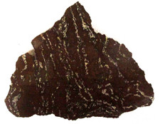 Fossilized Palm Root Slab - 150 Grams - Indonesia - Black - White