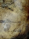 Bild 8 von 8