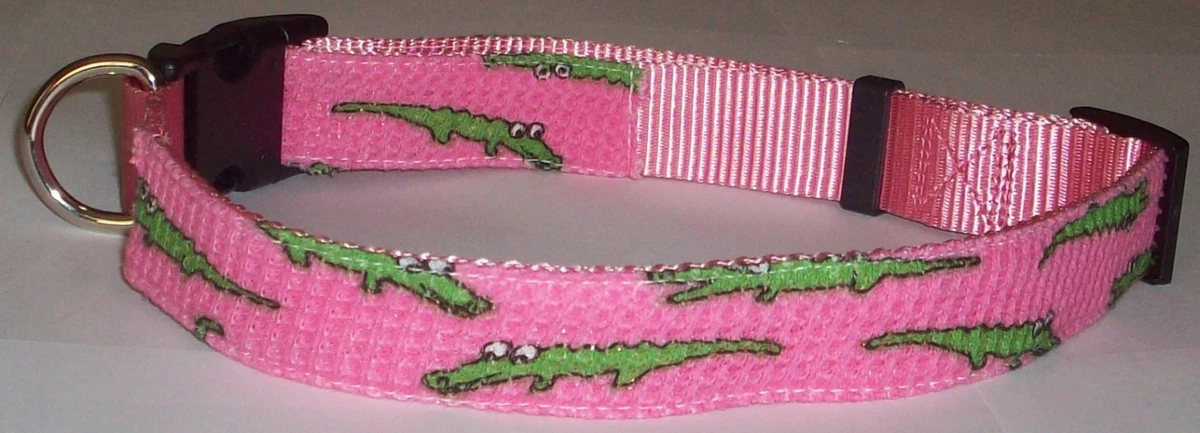 Lacoste dog collar sale