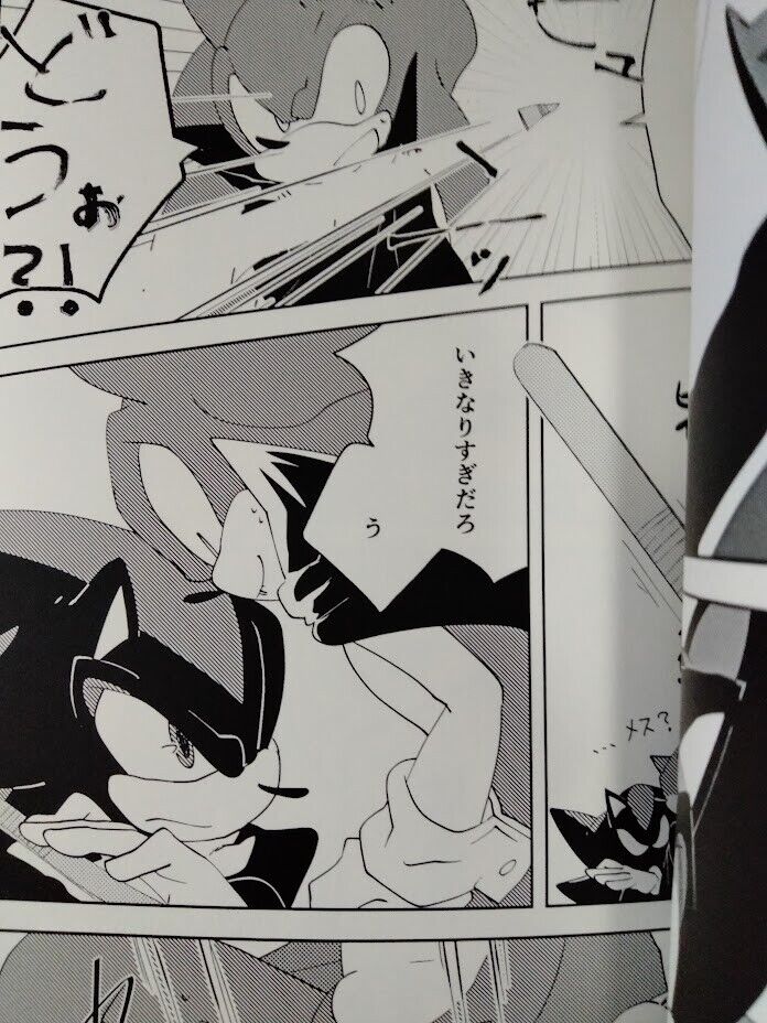 Sonic the Hedgehog Doujinshi Sonic X Shadow (B5 50pages) ROOT8Beat Onsoku