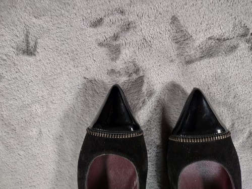 Stuart Weitzman Black Suede pointed patent leather toe with zipper detailing 6.5 - Picture 6 of 8