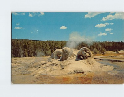 #ad Postcard Grotto Geyser Yellowstone National Park Wyoming $3.49