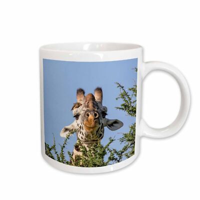 3dRose Africa, Tanzania, Serengeti. Maasai giraffe with Red-billed Oxpecker. Mug