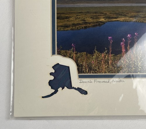 Set Of 2 Photos Alaska Denali Fireweed By Kathy Hart And Sitka Totem 8" x 10" - Picture 4 of 11