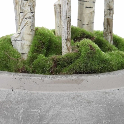 Uttermost 60146 Aldis 77-1/2" Tall Artificial Plant - Green - Picture 4 of 5