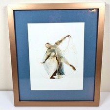 Original Photograph San Francisco Ballet Ballerina In Motion Ethereal Striking