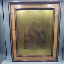 Placa de cobre grabado en intaglio Harrison Weir "perdices" ***RARO***