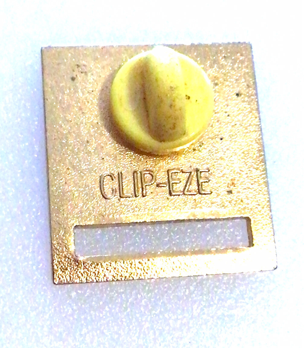 как выглядит Registered Nurse RN Clip Eze Pin Medical фото