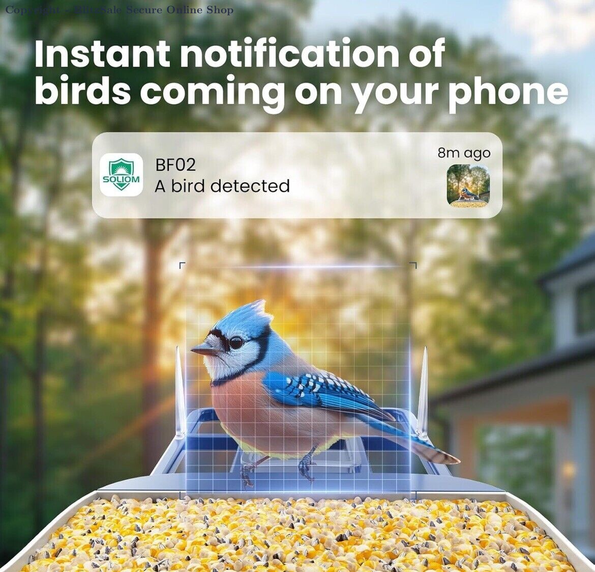 SOLIOM BF02 Bird Feeder with Camera Wireless Outdoor, 2K HD Wild Bird Watchin...