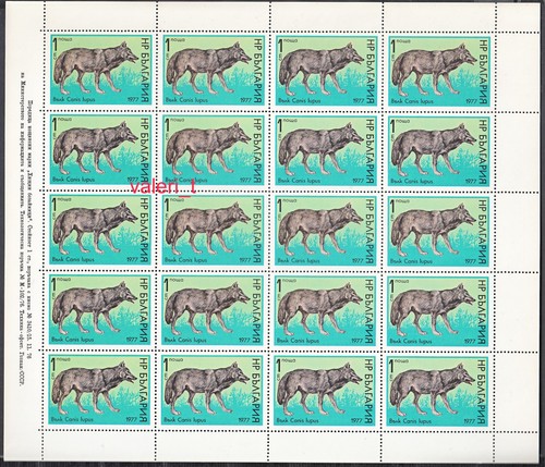 1977 Bulgaria Wild Animals, Wolf, Fox.. Full set 5 stamps on sheets x 20 MNH ** - Picture 2 of 6
