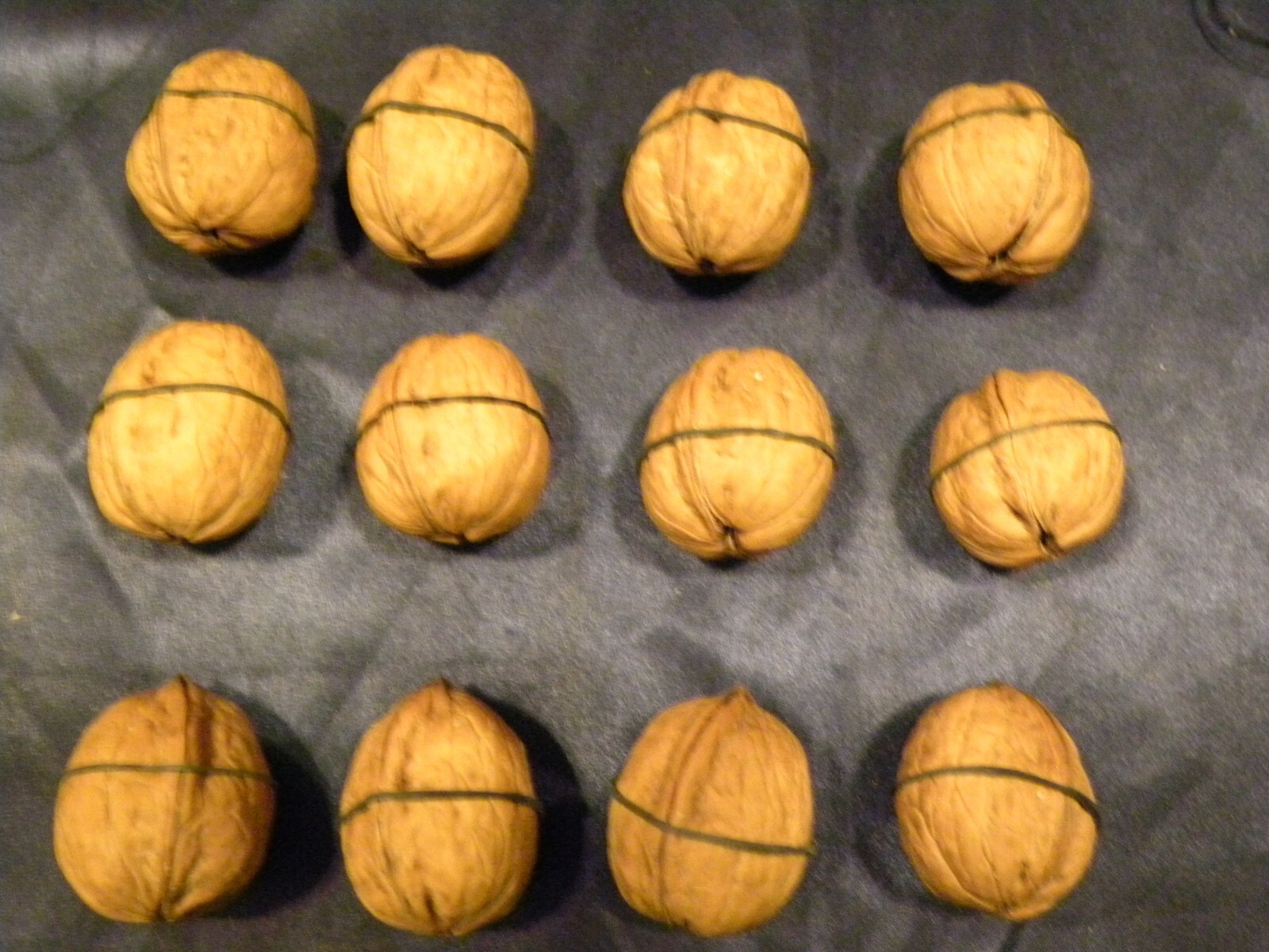 Lot of 12 One Dozen Walnut Shell Pairs Halves Art Crafts Walnuts Shells Whole