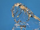 Bild 12 von 14