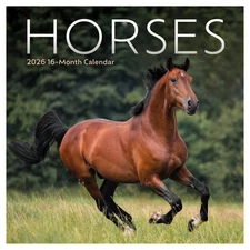 Carousel Calendars,  Horses Special Value 2026 Mini Wall Calendar, 7'' X 7'', 16