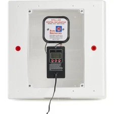 Farm Innovators Heated Digital Still Air Incubator for 4 Dozen Eggs & 360° View