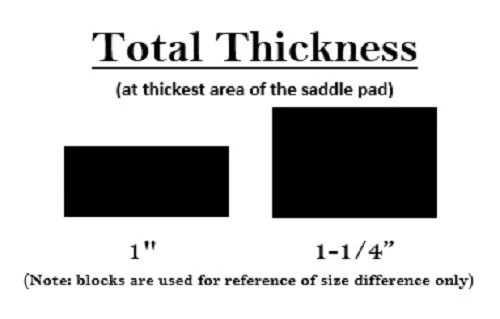 Team Equine "Impact Shield" Protective Western Horse Saddle Pad