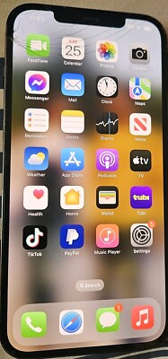 I Am My Apple iPhone 12 Pro 128GB Gray Unlocked  With Tiktok App Installed 
