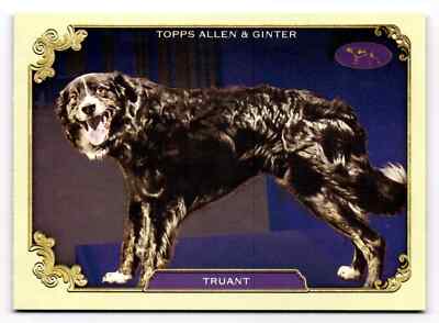2024 Topps Allen & Ginter Stars of the Show Dog #SOS-4 TRUANT