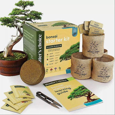 Bonsai Starter Growing Kit 15 Pieces Planter s Choice Gift Women Men Tree Grow