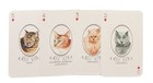 Exotic Cats Portraits Chinchilla Chartreux Manx Cards Hearts Collage Scrapbook