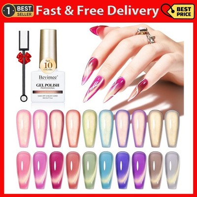 Cat Eye Gel Nail Polish Set-10 Colors with Magnet Cats Eye Gel Polish Silver Pin