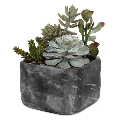 Alverio  - 10 inch Desert Garden Succulents Accessories Uttermost 60173 - Picture 1 of 8