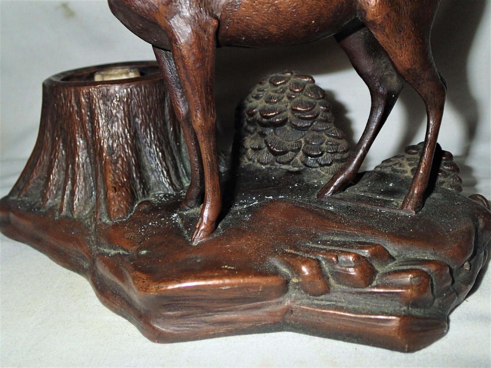Picture 6 of 12