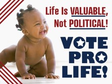 Banner Storm Banner 8 Pro-Life Vinyl Sign