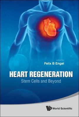 Heart Regeneration : Stem Cells and Beyond, Hardcover by Engel, Felix B. (EDT...